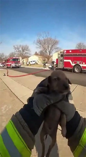 Firefighters Went Back Into the Fire to Save a Life 🔥 | BodyCam