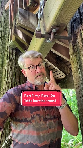 Do TABs Hurt the Trees? Exploring with Pete
