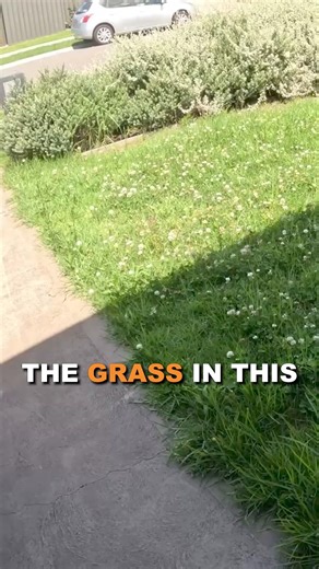 Mowing Tall Grass Perfectly! | Blade Mate Lawn Care