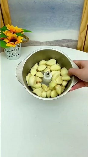 Electric Garlic Peeler Machine 😃