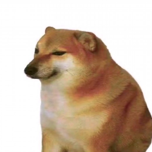 【chmas】最新视频来袭，快来看看吧！