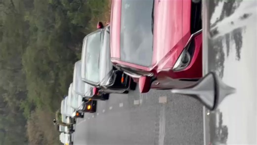 Saturday Chill with Beautiful Cars