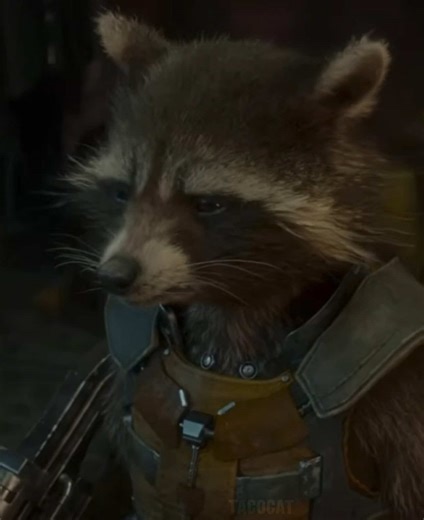 i dont typically post things aside from arcane, and i do make edits other than it (editing is a hobby not soemthing i do specifically for tiktok) but i really felt the need ti post this one, even if it doesnt perform well. [use fullscreen for best experience] #gotg #fyp #edit #rocket #backstory