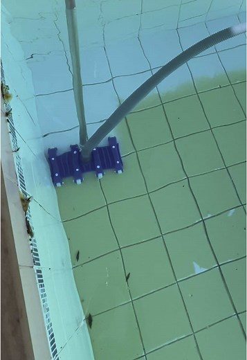 #pisc #viral #video #piscinas #viraliza #verd