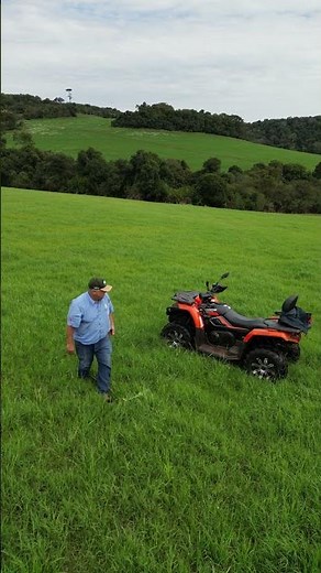 Avaliação de Campo de Produção de Feno