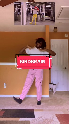 Birdbrain🐓 #vocaloid #utauloid #kasaneteto #teto #birdbrain #dancecover
