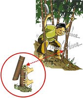 Cara Membuat Alat Musik Angklung