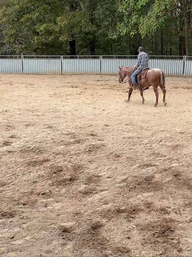 1.6K views · 103 reactions | Robert Ferrell on Reels | Facebook