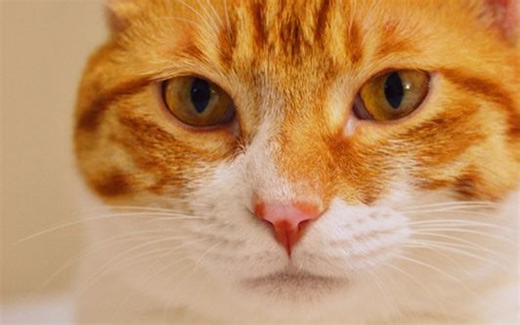 Node.js 开发实践