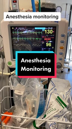 Pet Anesthesia Monitoring: ECG, Oximeter, and More