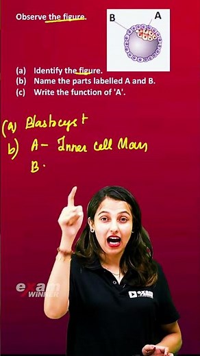 Human Reproduction ലെ പ്രധാനപ്പെട്ട Question | Plus Two Biology