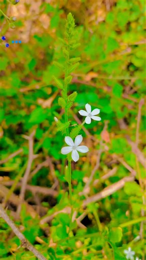 Ajith_TN-61{Driver }official on Instagram