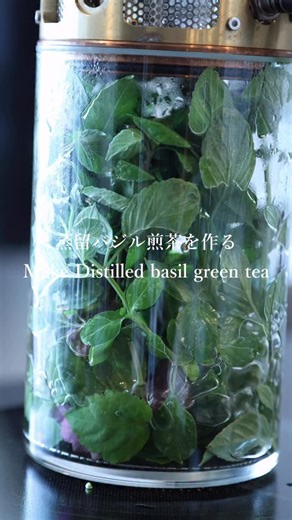 ¿品川蒸留所 Shinagawa Distillery | 蒸留バジル煎茶を作る | Make Distilled basil green tea Tahi Basil & Lime Basil 30g パチュリ Patchouli 5g... | Instagram