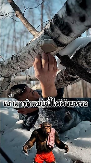 เห็ดหลินจือเอามาทำแบบนี้ได้ด้วยหรอ #ความรู้ #น่าสนใจ #facts