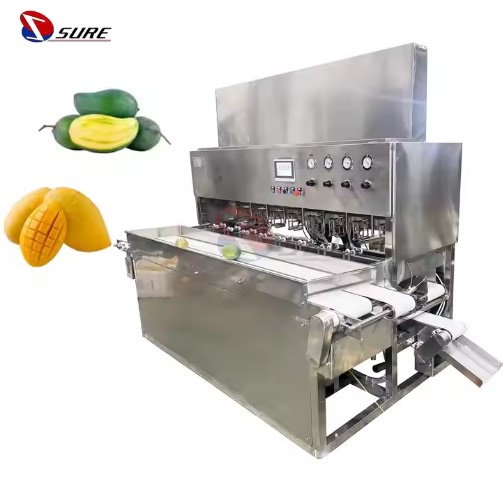 Mangoes Peeling Machine Mango Peeling and Slicing Machine Automatic Mango Peeling and Cutting Machine Price