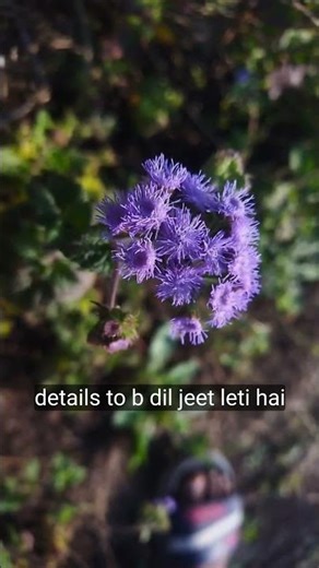 it's a ai generated videos 👍.this video is edit by youtube create app #youtubeshorts #youtubenextup