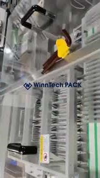 5 Lanes Stickpack Machine + Pocket Conveyor + SUS Chain Conveyor + Servo Collator + Box Cartoner
