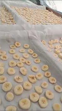 For Farmers' Education - Drying Bananas in Solar Dryer C100