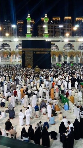 man baap hai Jinda to karo inki gulami #allah 🌹💚❤️💚❤️💚🌹#best #beautiful #sorts