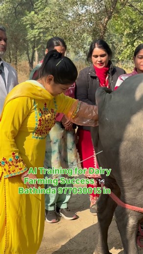 Start Self Employment in Livestock Sector | Artificial Insemination, & FirstAid Training