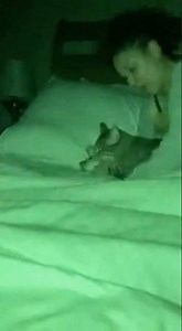 Cat Brings Dead Mouse to Sleeping Owner – Night Vision Scream! 😱😺