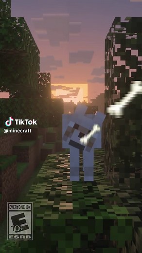 Essential Minecraft Tips and Tricks for Builders