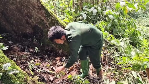Essential Bushcraft Skills for Outdoor Camping