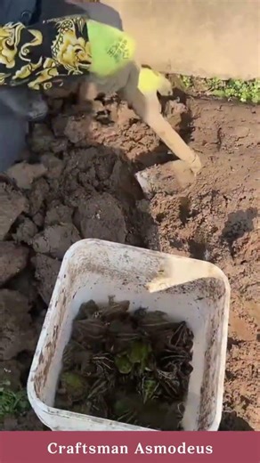 The process of catching frogs