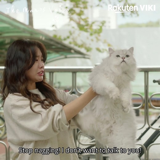 80K views · 1.8K reactions | Choi Tae Joon from So I Married The Anti-Fan and Song Ji Eun of My Secret Romance star in the tale of a woman who can hear her crush’s cat’s “voice!”  Binge-watch every single episode of the Viki Original series The Man’s Voice from 1/6 on Viki: https://bit.ly/TheMansVoiceSNS | Viki | Facebook