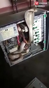 2K views · 19 reactions | Who installed python on the server !??? | Still Unfold | Facebook