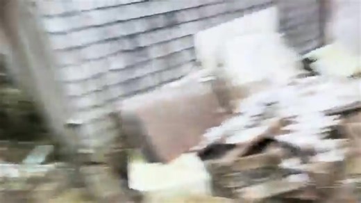 Yes, I devoured those gummy bears. In fact, I polished off the whole bag in my trailer while I was blowing up the Amazon absentee ballot scandal. | Steve Robinson