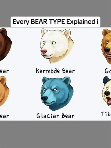 #animation #theory | animation