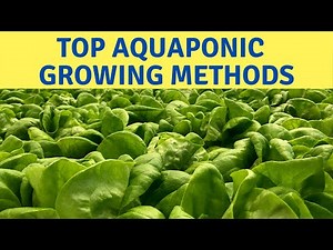 Top Aquaponics Systems and Hydroponics.