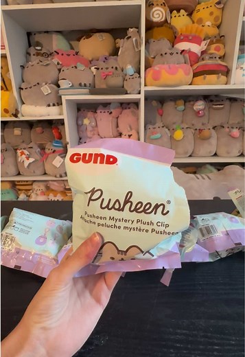 Pusheen Blind Box Tutorial: How to Unbox and Display