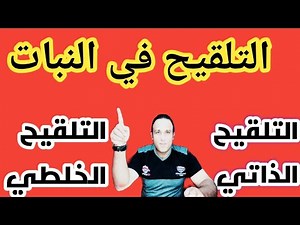 التلقيح في النبات، التلقيح الذاتي والتلقيح الخلطي