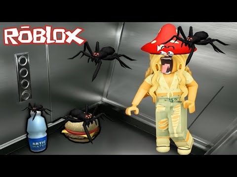 i SURVIVED the ROBLOX ELEVATOR!