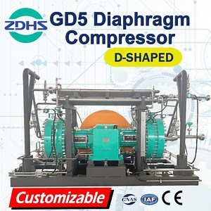 [Hot Item] Explosion-Proof Leak Free Fine Chemical Industry Customizable HCl Gas Compressor Price