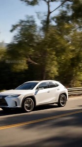 10K views · 45 reactions | woman's dog gets hit by a car while playing fetch | Give Back TV | Facebook