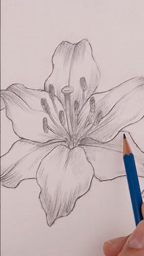 How to Draw a Spring Flower for Beginners