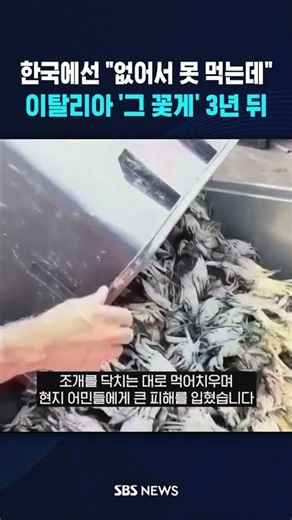 "Cant eat it because it's sold out" in Korea... Italy's 'that blue crab' 3 years later / SBS / #s...