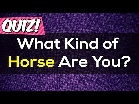 What Kind of Horse Are You? Personality Test | PickOne Quiz