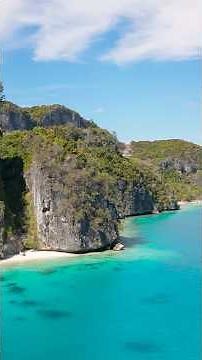 🌴 Panasia Island Paradise | Papua New Guinea