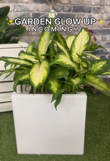 Give your Garden a GLOW UP 🪴💡 NEW IN 👉🏼 Light Up Plant Pot✨ Remote controlled and has colour changing lights! 🤯🙌🏼 Product code: 8494342 #garden #lovewilko