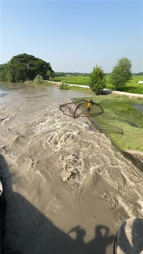Cast Net Fishing Techniques by Village Fishermen