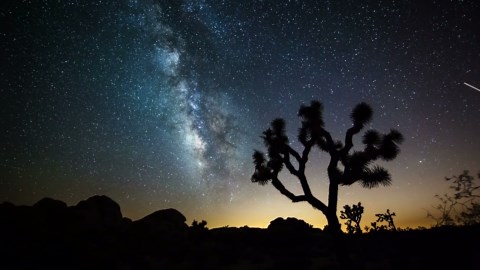 Astronomy Aficionados: Marvel at the Milky Way Timelapse - Worldwide