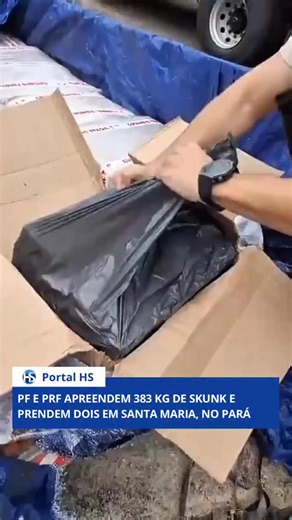 PF e PRF apreendem 383 kg de skunk e prendem dois em Santa Maria, no Pará A Polícia Federal, em ação conjunta com a Polícia Rodoviária Federal, apreendeu 383 quilos de skunk e um veículo na tarde desta terça-feira (23), no município de Santa Maria, no Pará. Duas pessoas foram presas em flagrante. A apreensão foi resultado de trabalho de investigação e monitoramento, que levou as equipes a realizarem a abordagem em um posto de combustível. Durante a revista no veículo, os policiais localizaram a 