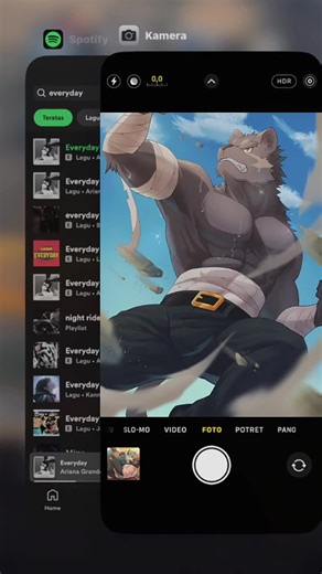 Exploring the Furry Fandom Community and Art