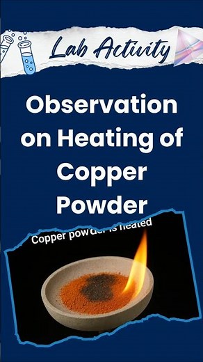 Observation: Copper Powder Heated | Class 10 Chemistry #scienceshorts