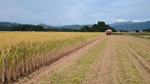 空撮 日本の秋 稲刈り 作業風景