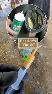 3.2K views · 24 reactions | Farrier Shane Westman demonstrates how using a syringe can help you apply Farrier's Finish® into tight cracks, splits, and other nooks and crannies of the hoof. | Life Data Labs Inc. | Facebook